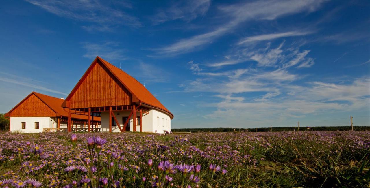 Bibic Nature Lodge Balmazujvaros Exterior photo